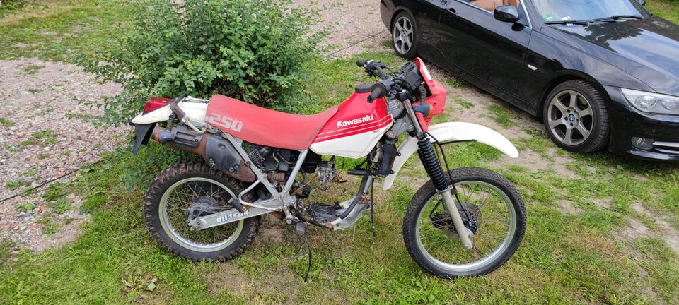 kawasaki kl250d