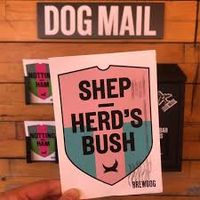 SUCHE deutsche BREWDOG Pins und Postkarten Nordrhein-Westfalen - Wadersloh Vorschau