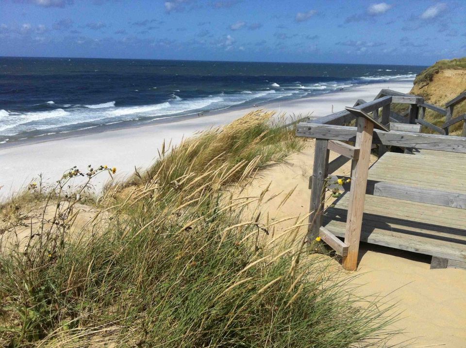 Auszeit (mit Hund) nahe Sylt, Föhr – Workation, Ferienwohnung in Berlin