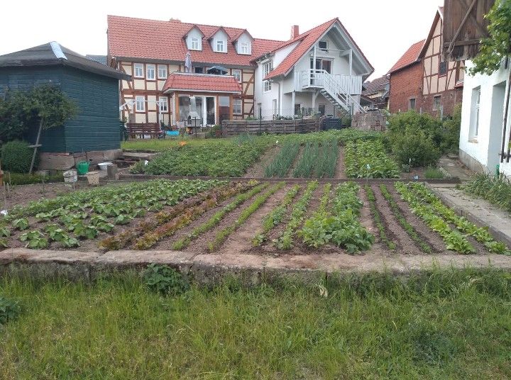 Hohengandern: Garten Teilzeitgarten Hobbygärtnern in Hohengandern in Wüstheuterode