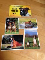 Deutscher Boxer Schild und 4 Postkarten Bayern - Weismain Vorschau