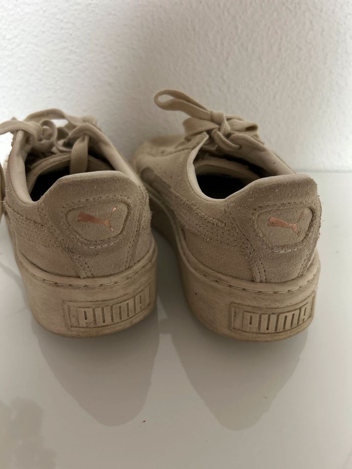 Puma Suede Schuhe in Bischweier