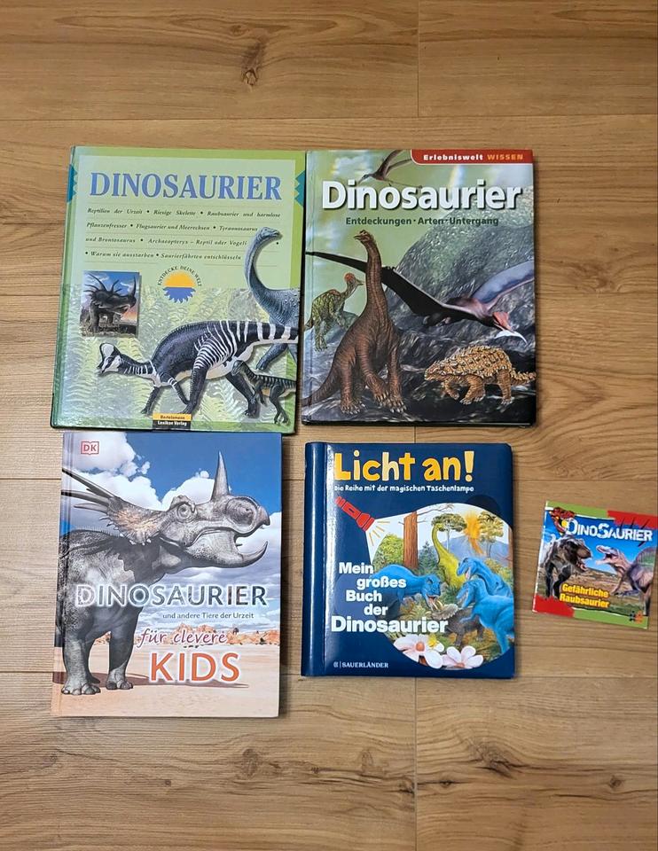 Dino Figuren Bücher Handpuppen etc Dino Konvolut Dinosaurier in Salzkotten