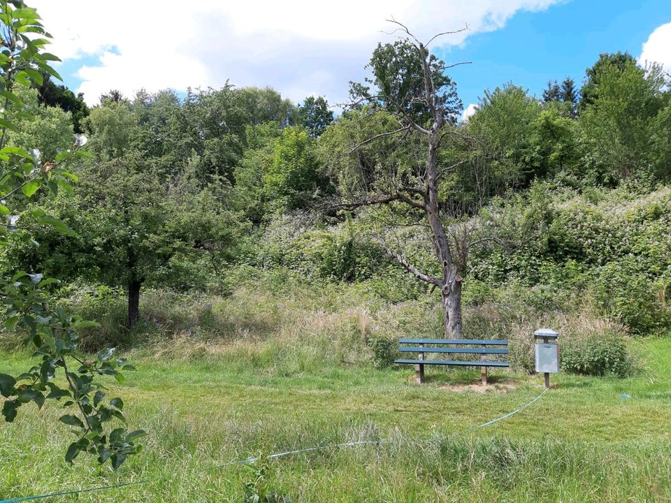 Streuobstwiese, Grundstück, ca. 1.800 m² in Plochingen in Plochingen