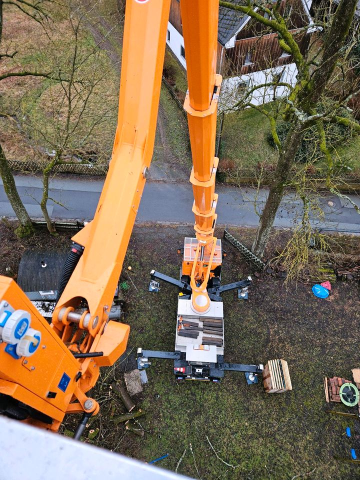 Baumfällung / Transport / Problembäume in Schwarzenbach a d Saale