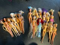 Barbies mit viel Zubehör Hessen - Freigericht Vorschau