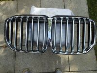 Original Kuhlergrill BMW X7- G 07-Perfekt Bayern - Mitterfels Vorschau