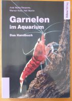 Garnelen im Aquarium Hessen - Mörlenbach Vorschau