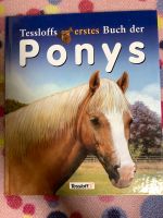 Kinderbuch „Tessloffs erstes Buch der Ponys“ Saarland - Homburg Vorschau