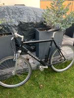 Gudereit Trekking Fahrrad / City Bike, Shimano, 56, XL Hessen - Lampertheim Vorschau