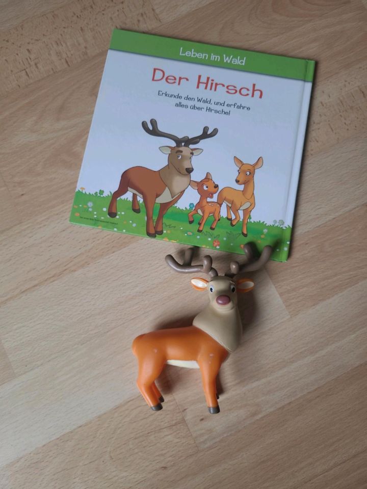 Süßes Kinderbuch mit Figur Hirsch Buch Leben im Wald in Dresden