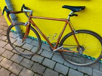 Rennrad Klassiker Eddy Merckx Campa Record Baden-Württemberg - Schwaikheim Vorschau