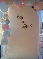 Gender Reveal Party Hintergrund Halbbogen Rückwand Boy or Girl? Hessen - Waldbrunn Vorschau