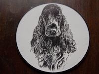 Cocker - Spaniel, Plakette Schleswig-Holstein - Preetz Vorschau