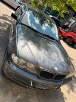 Schlachtfest BMW e46 320d Facelift Nordrhein-Westfalen - Elsdorf Vorschau