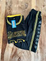 Lakers Shirt, Trikot Hessen - Lautertal Vorschau