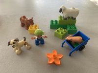 Lego Duplo 4972 Bauernhoftiere Rheinland-Pfalz - Maxdorf Vorschau
