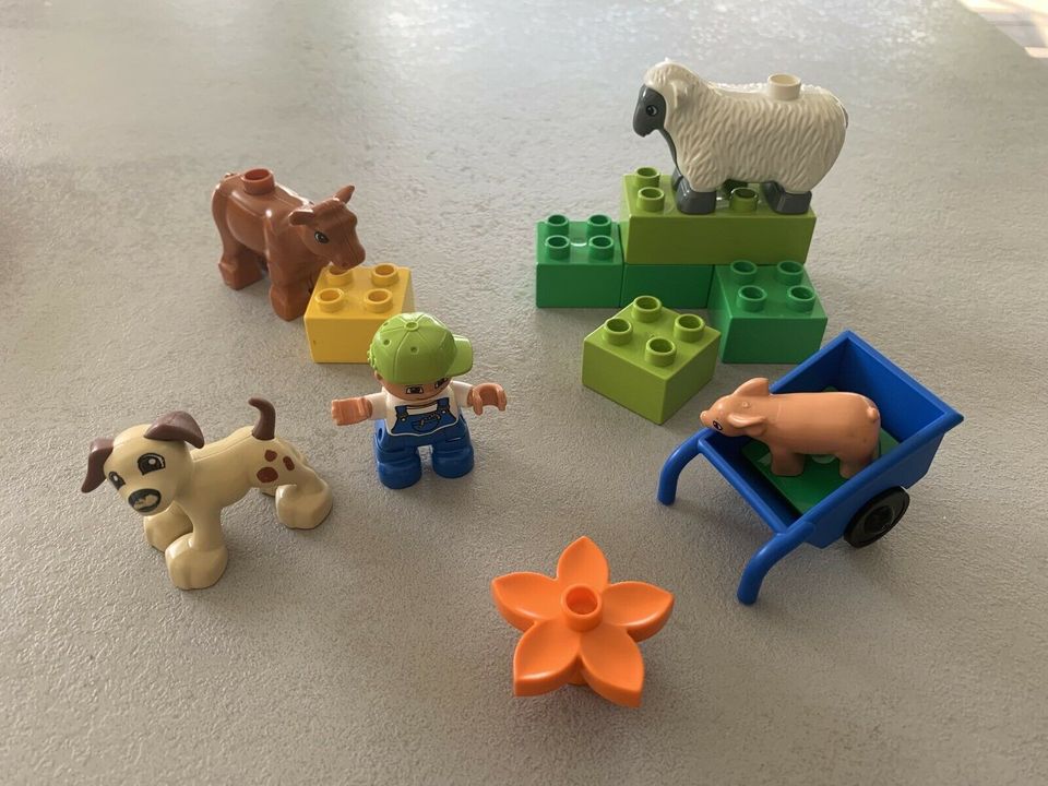 Lego Duplo 4972 Bauernhoftiere in Maxdorf