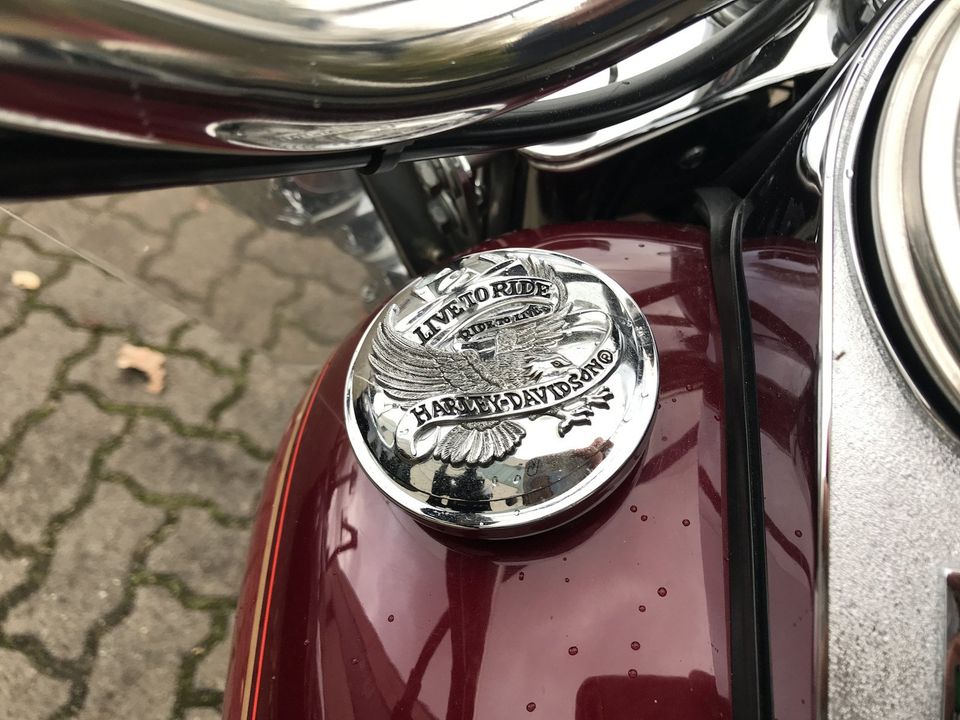 Harley Davidson Fat Boy FXST in Hamburg