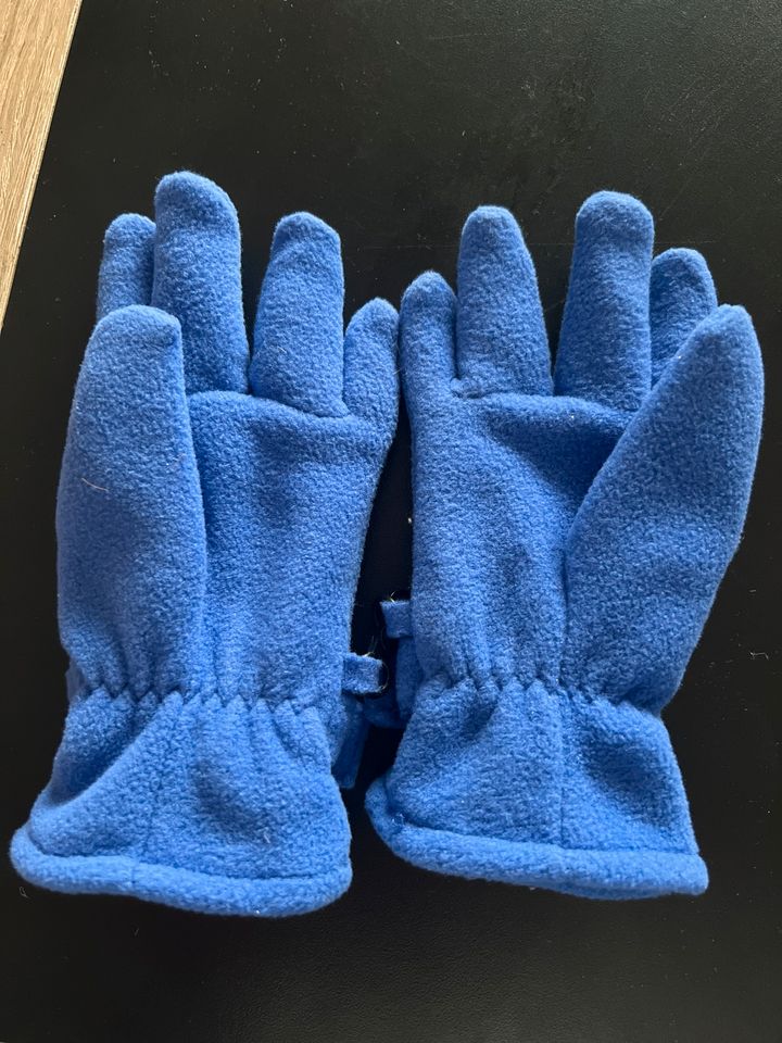 Blaue Handschuhe Döll in Reichenbach an der Fils