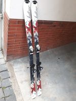 Tecno Pro Ski Skier Schi 160 Cm Rheinland-Pfalz - Worms Vorschau