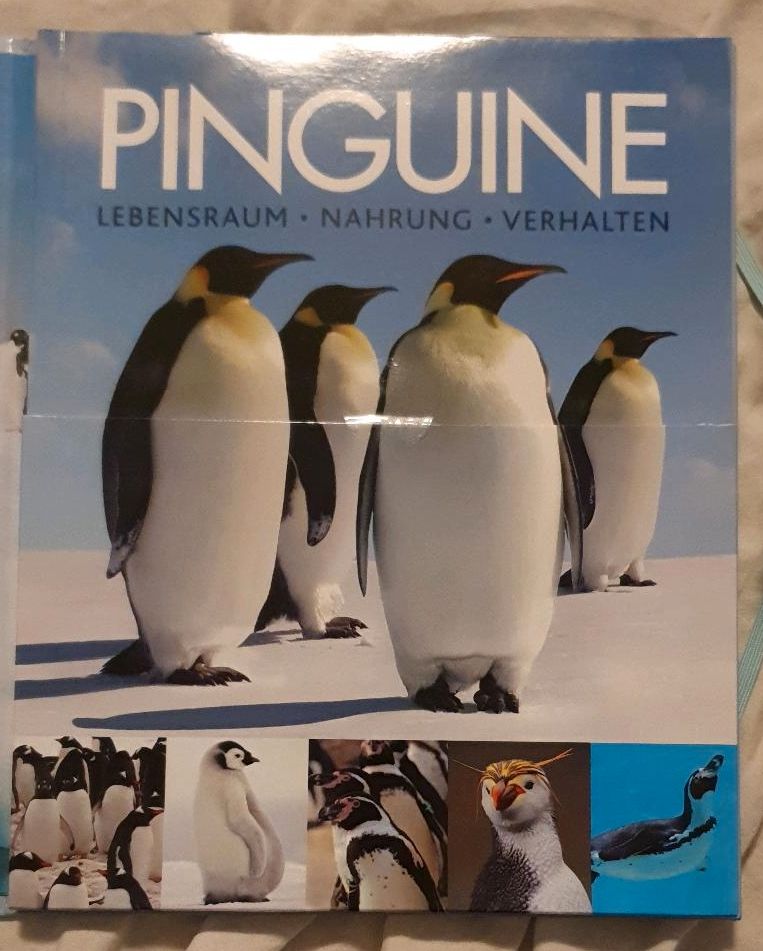 Pinguine, Lebensraum, Nahrung, Verhalten in Lübeck