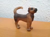 Schleich Figur Hund Hofhund Mischling 13238 Mix Farm dog Baden-Württemberg - Sulzfeld Vorschau