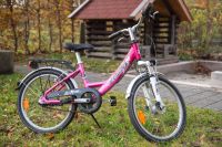 Pegasus-Kinderfahrrad pink 20" München - Schwabing-West Vorschau