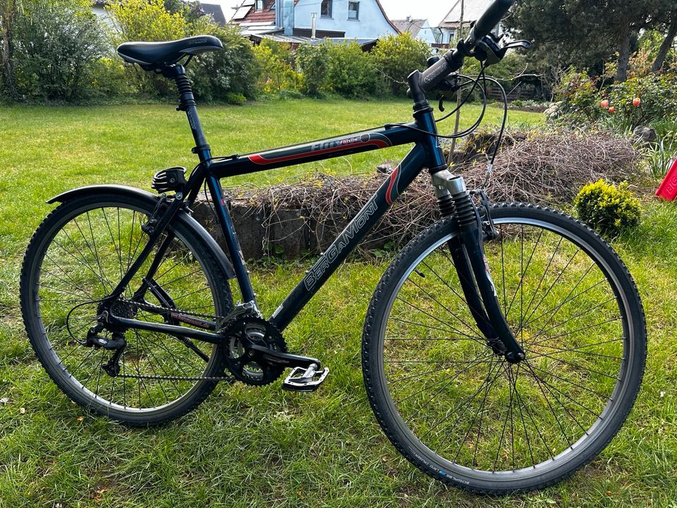 Bergamont Fluxus Herren Fahrrad Crossbike 28 Zoll blau in Lichtenfels