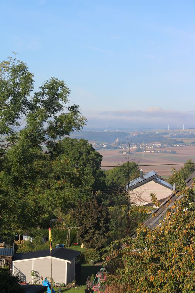 Wohnhaus 3 Geschosse+Ausstellungshalle + 5 Garagen Münstermaifeld in Münstermaifeld