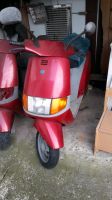 2 x Piaggio Sfera NSL 50 Nordrhein-Westfalen - Bad Salzuflen Vorschau