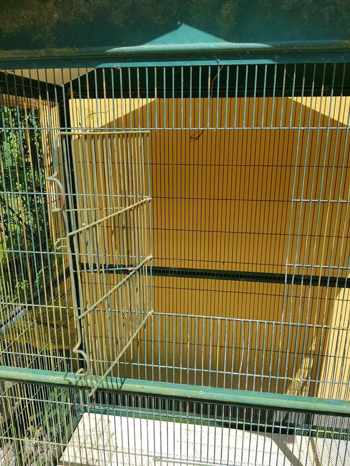 Käfig Kleintiere in Fürstenfeldbruck