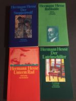 Herrmann Hesse Taschenbücher Bayern - Schöngeising Vorschau