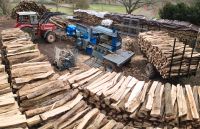 Lohnspalten Brennholzaufbereitung Rheinland-Pfalz - Dahn Vorschau