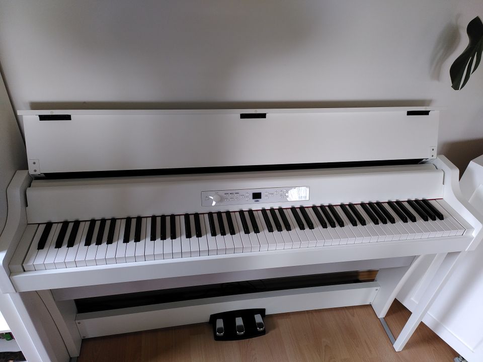 KORG G1 Air Digital Piano in Münchberg