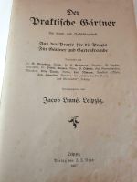 Antiquarisches Buch 1907 Der praktische Gärtner Niedersachsen - Stadtoldendorf Vorschau