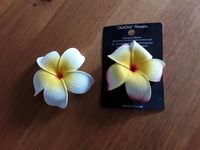 Haarschmuck Orchideen Rheinland-Pfalz - Tiefenthal Vorschau