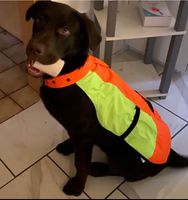 Regenjacke Hund Niedersachsen - Bad Bodenteich Vorschau