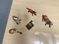 Zirkus Schleich pony Set Niedersachsen - Jesteburg Vorschau