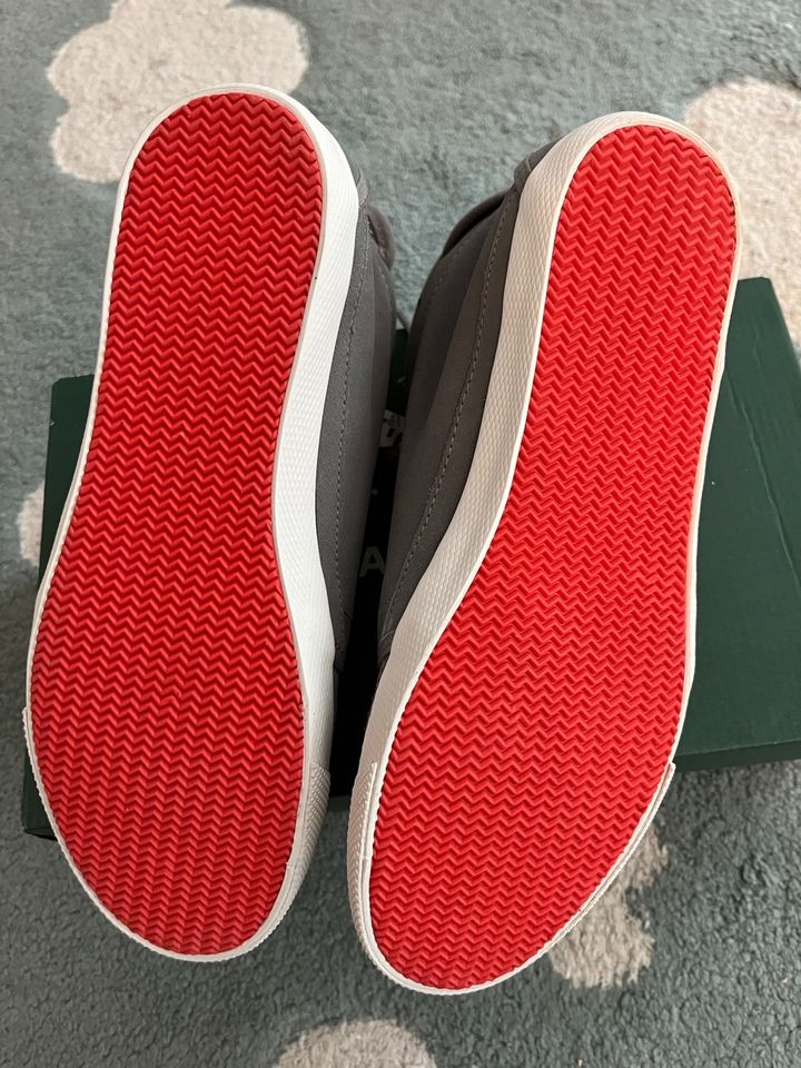 Nagelneue Lacoste Sneaker grau, high, Leder, Gr. 39/ 5.5 in OVP in Lübeck