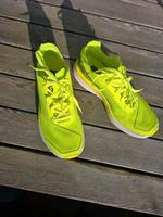 Laufschuhe Carbon scott Gr. 39 Niedersachsen - Alfeld (Leine) Vorschau