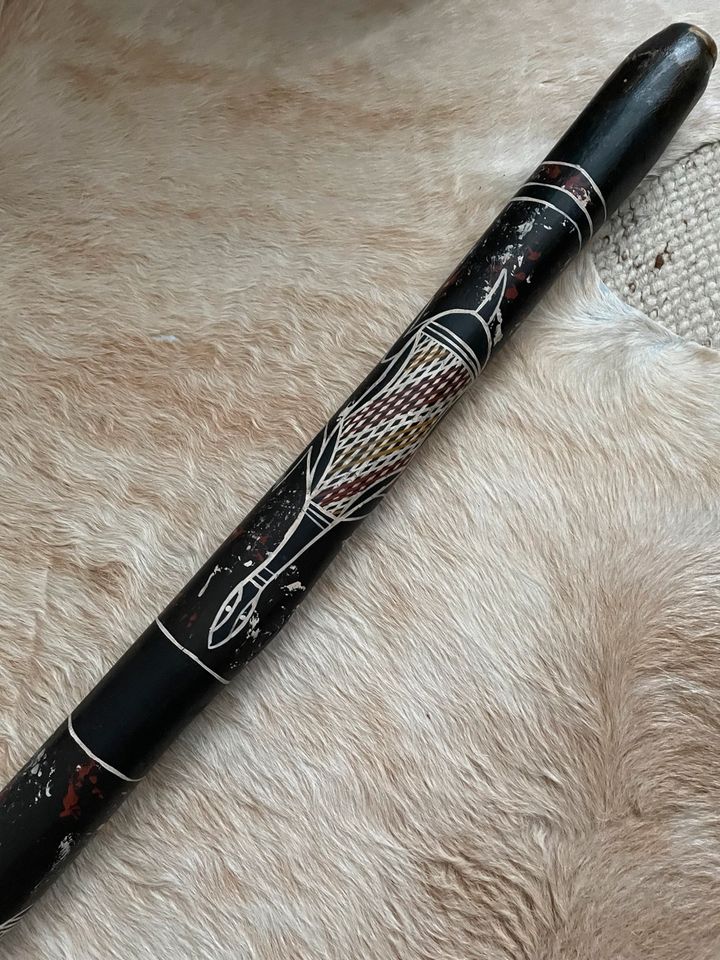 Didgeridoo, termitengefressen, Original Australien, professionell in Hamburg