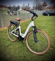 Riese&Müller E-bike Swing City Bike Rheinland-Pfalz - Hackenheim Vorschau