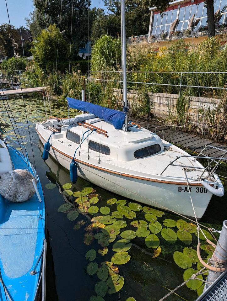 Neptun 212 image