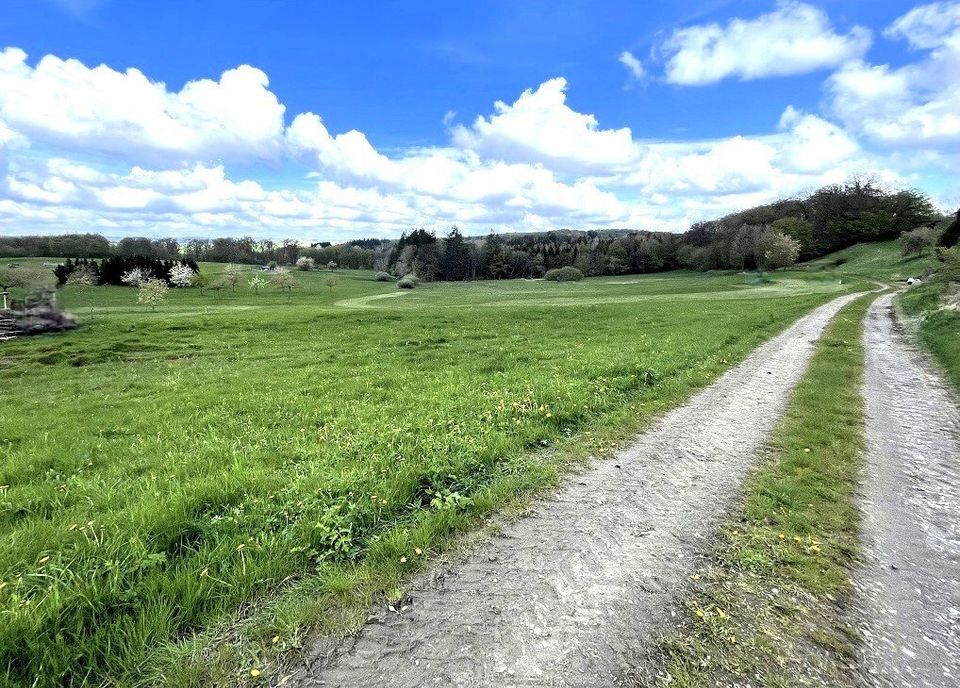 Eifel-Bauernhaus im ruhigen Ort Nähe Ulmen mit 3.134 qm Land, Scheune, Stallungen und Bauland in Auderath
