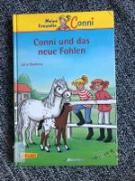 Buch Conni und das neue Fohlen Hessen - Büdingen Vorschau