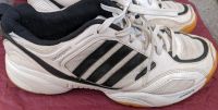 ADIDAS bigroar Gr. 39/40 Leder Hallen-/ Laufschuhe Müritz - Landkreis - Waren (Müritz) Vorschau