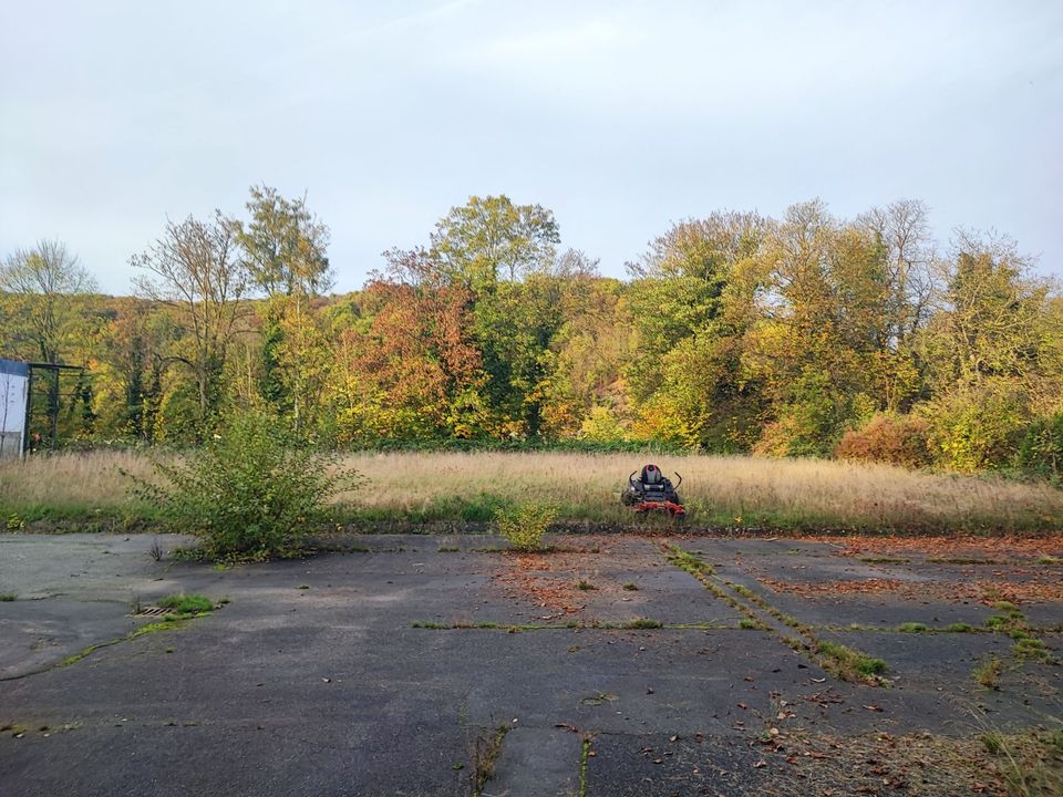 Gartenpfege, Rasenmähen, Mulchen, Freischneiden in Eitorf