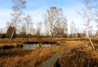 Verkauf: 99 Naturgrundstück mit Naturteichen Niedersachsen - Aurich Vorschau