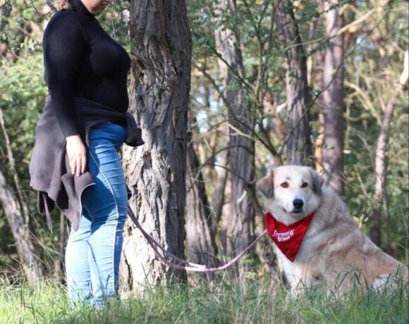 Heidi freut sich schon auf dich! in Salzwedel